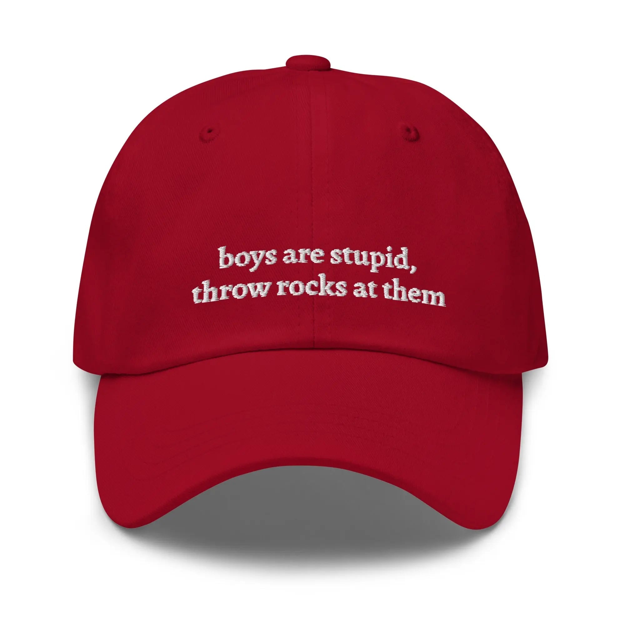 "boys are stupid, throw rocks at them" Dad Hat - Plot Twist - 9207911_12735