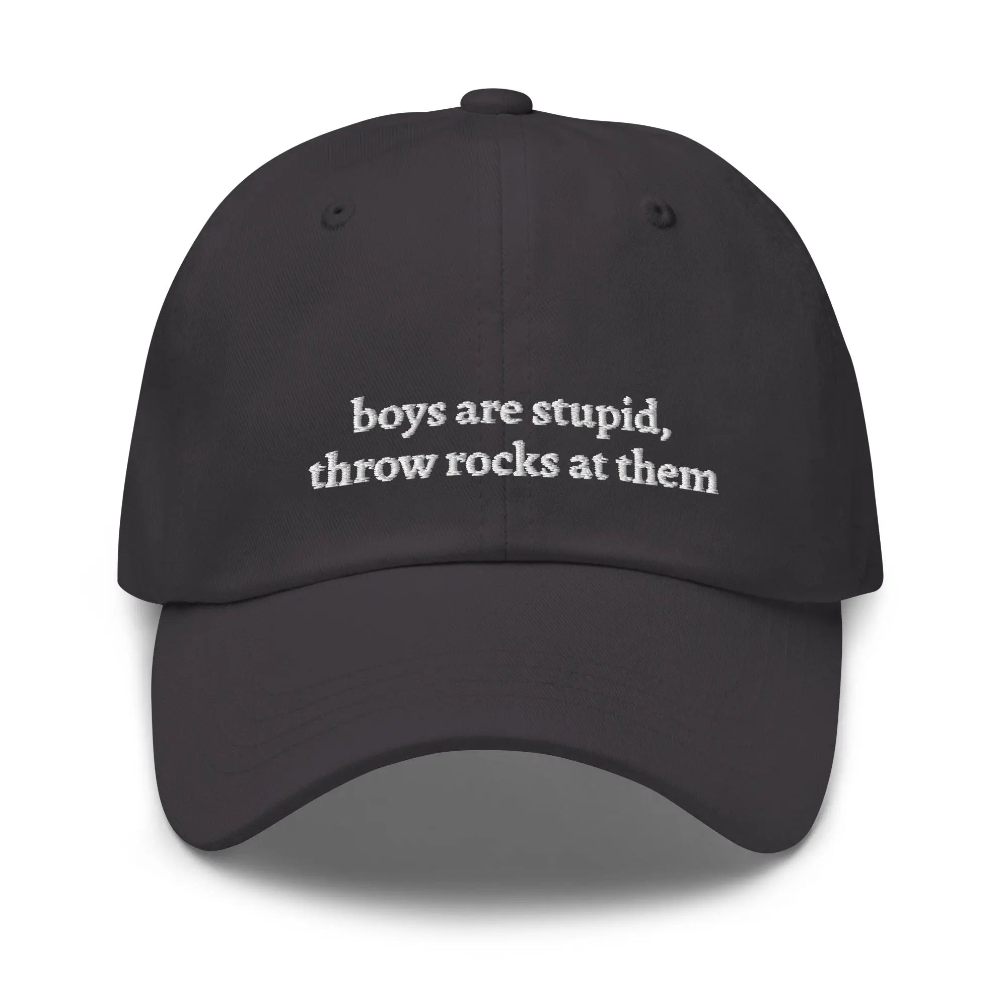 "boys are stupid, throw rocks at them" Dad Hat - Plot Twist - 9207911_12736