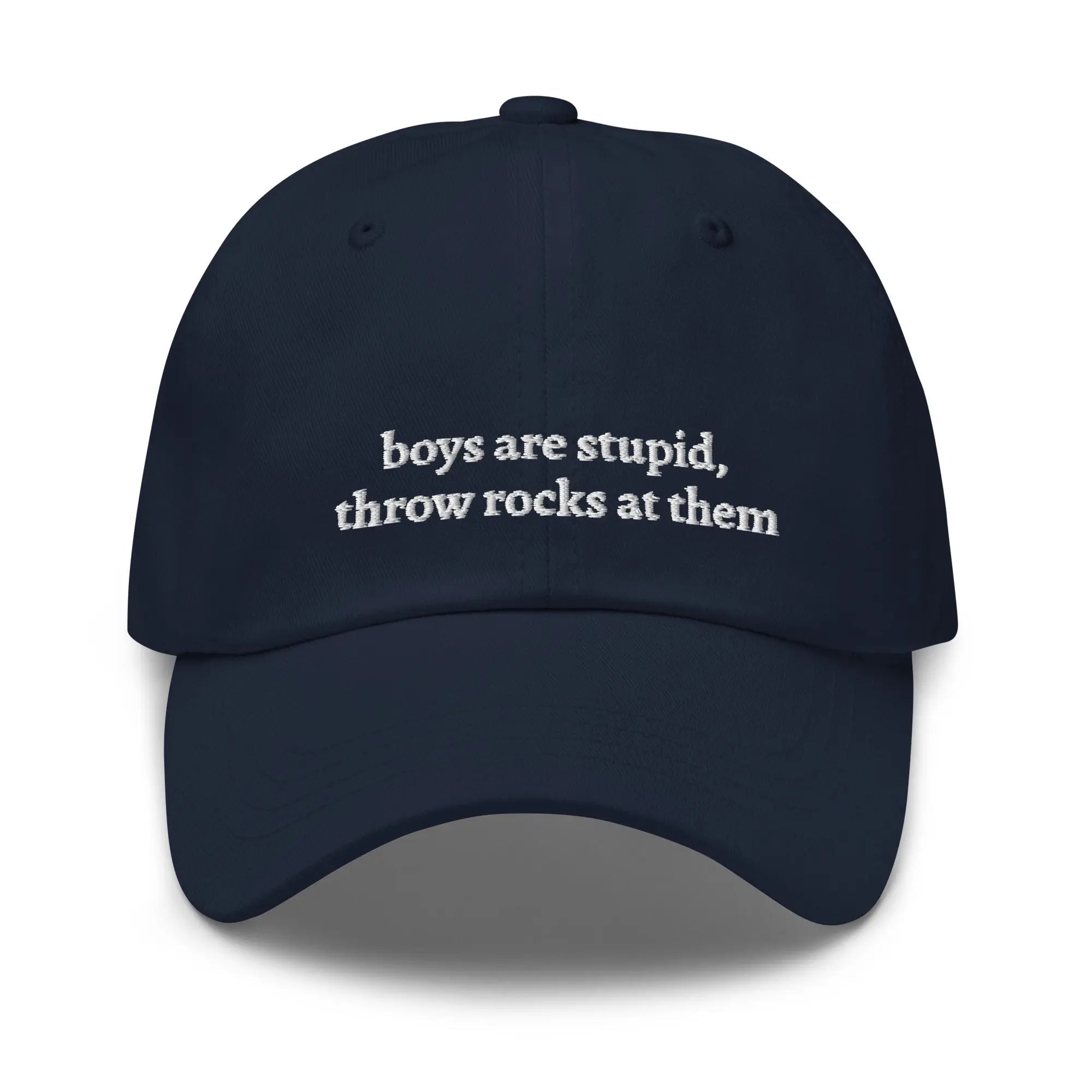 "boys are stupid, throw rocks at them" Dad Hat - Plot Twist - 9207911_7857