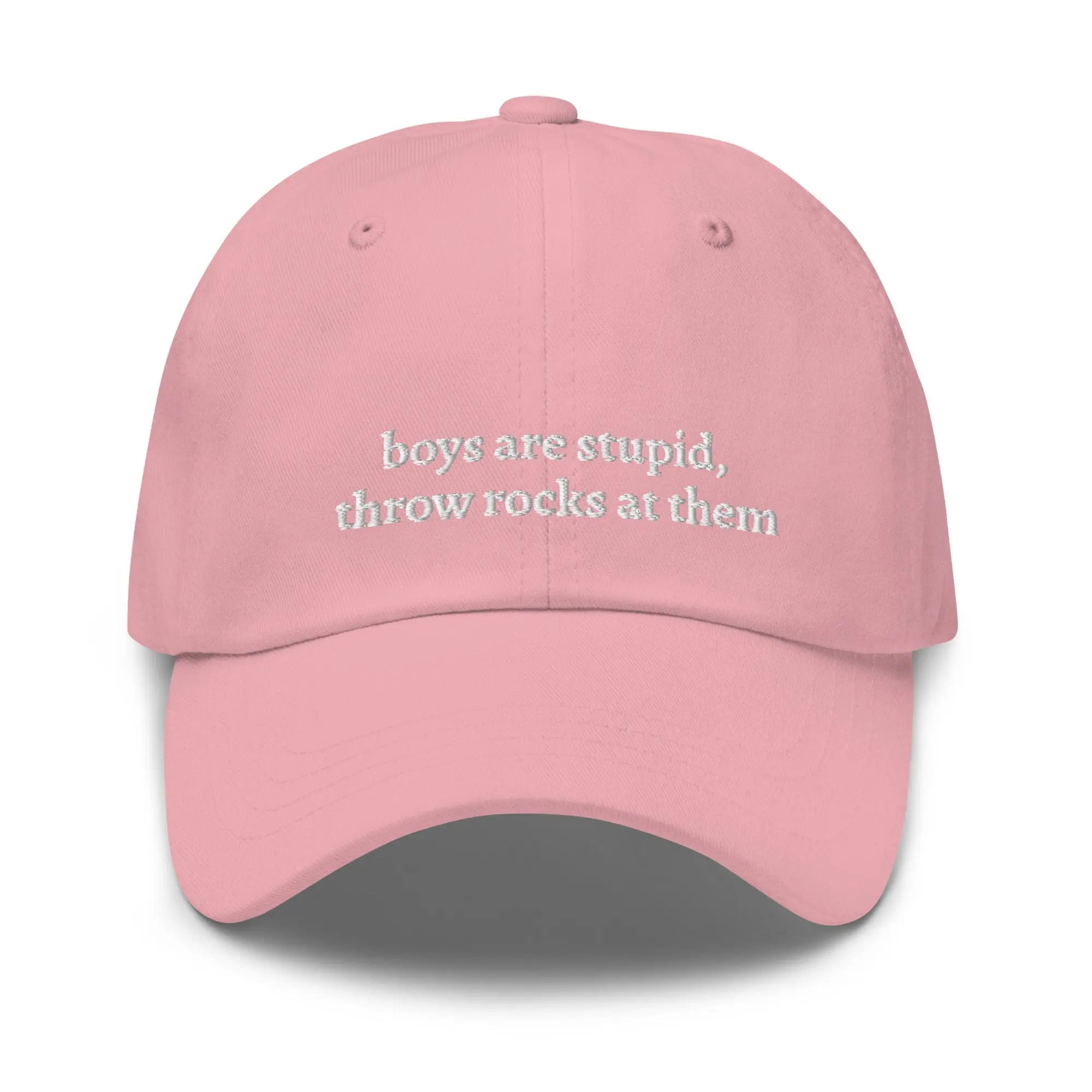 "boys are stupid, throw rocks at them" Dad Hat - Plot Twist - 9207911_7858