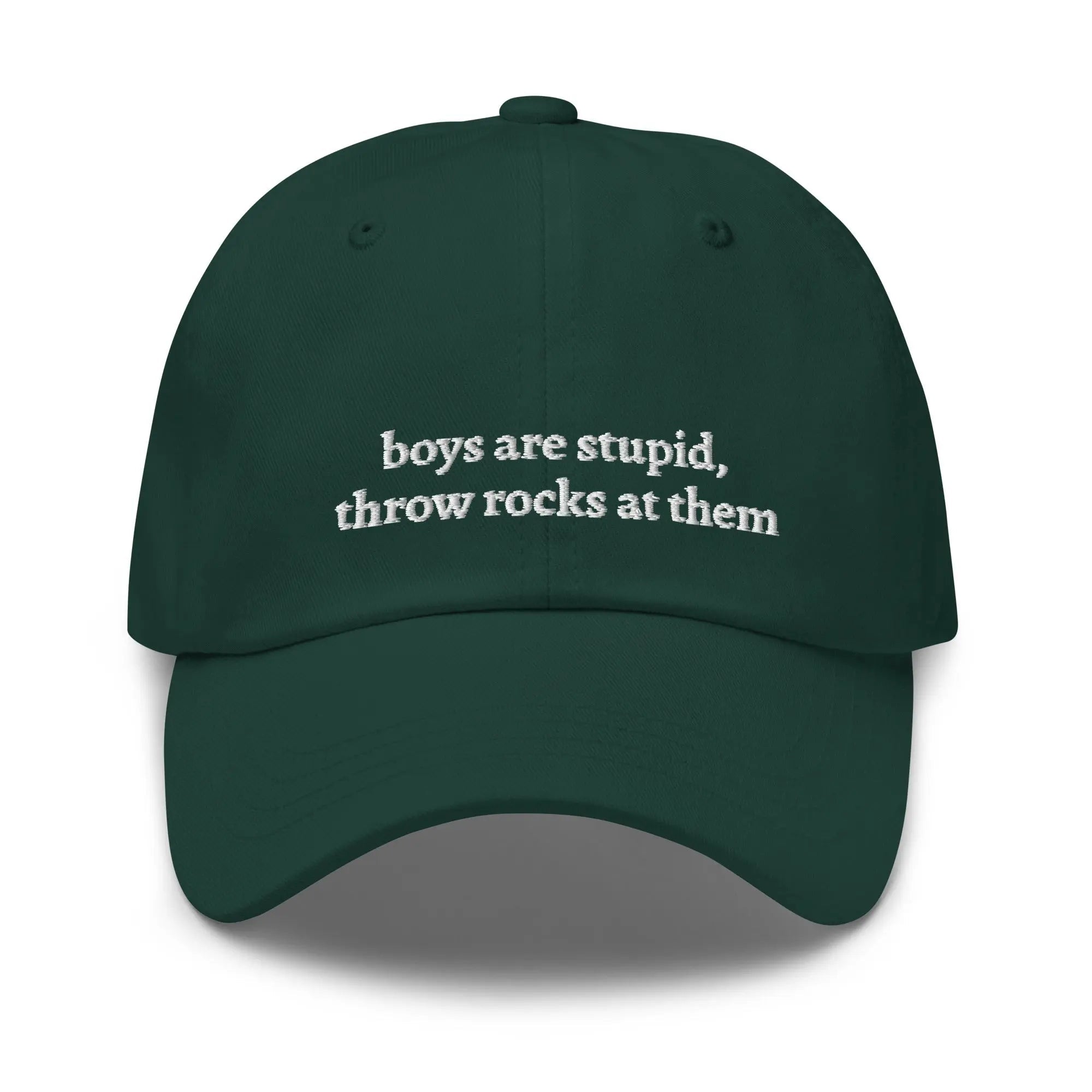 "boys are stupid, throw rocks at them" Dad Hat - Plot Twist - 9207911_8745